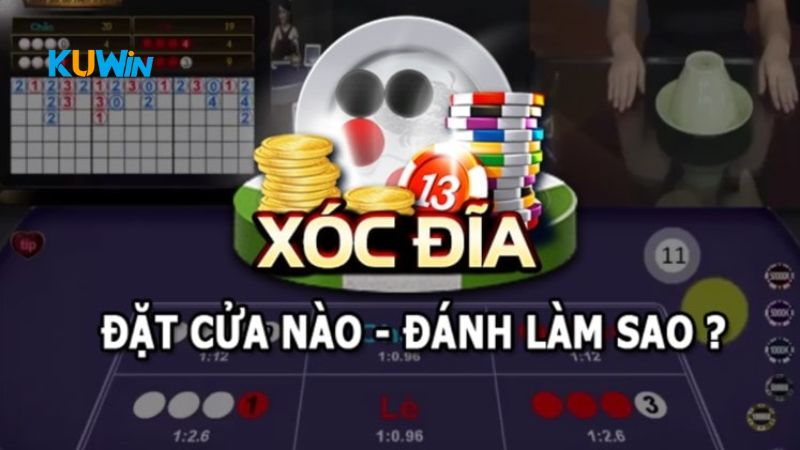 Cách chọn cửa xóc đĩa